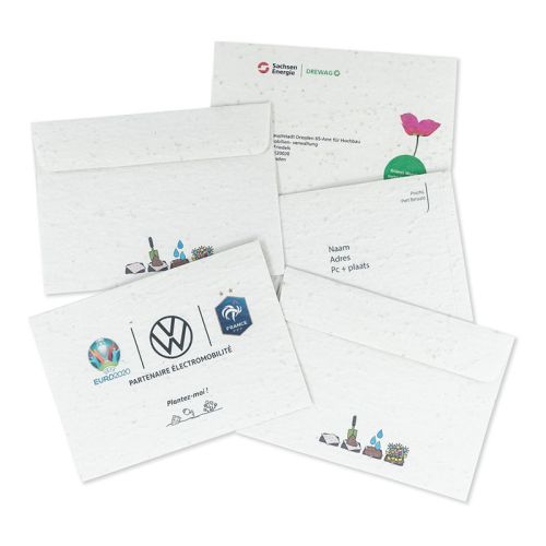 Seed paper envelope EA6 - Image 1